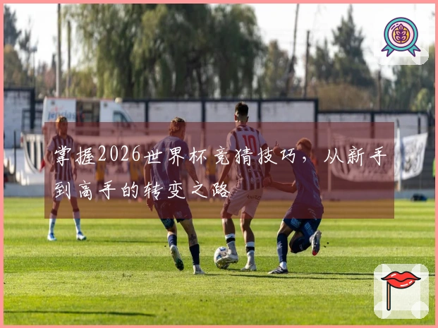掌握2026世界杯竞猜技巧，从新手到高手的转变之路