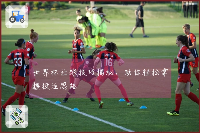 世界杯让球技巧揭秘，助你轻松掌握投注思路