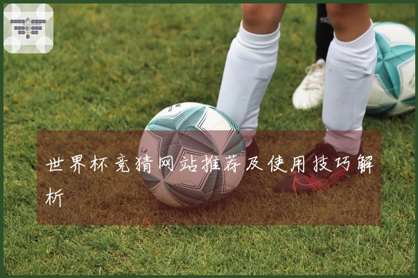 世界杯竞猜网站推荐及使用技巧解析